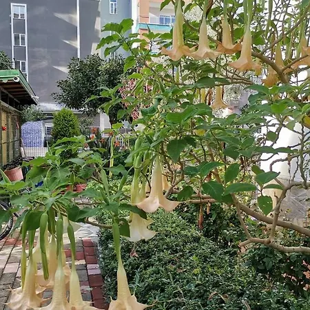 Cozy Studio In Alanya, Mahmutlar, Close To Sea 公寓 *